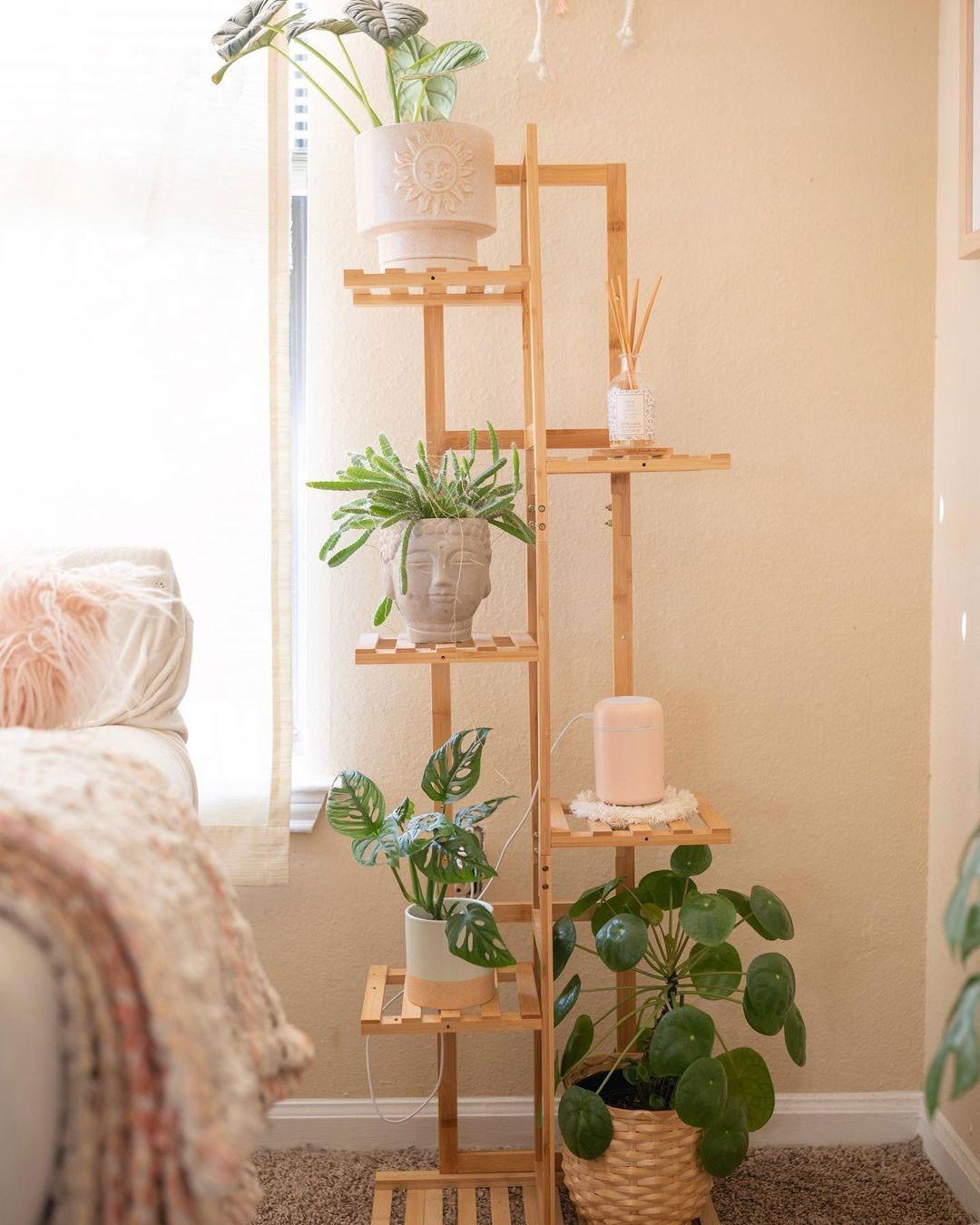 The reference uses a tall open shelf to display selected plants and objects, illustrating vertical display beside the sleeping area.