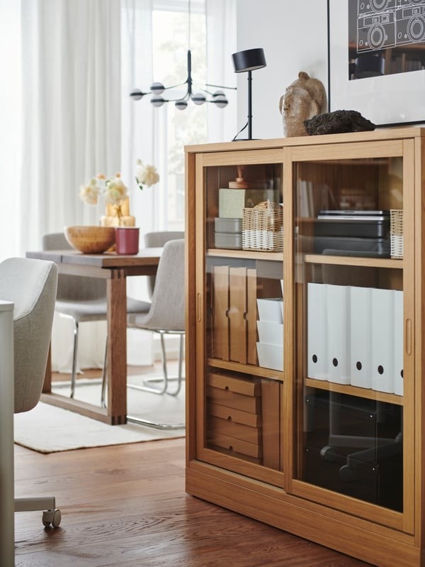 A separate source cabinet view shows files and storage boxes visible behind framed glass fronts beside the rear activity area.