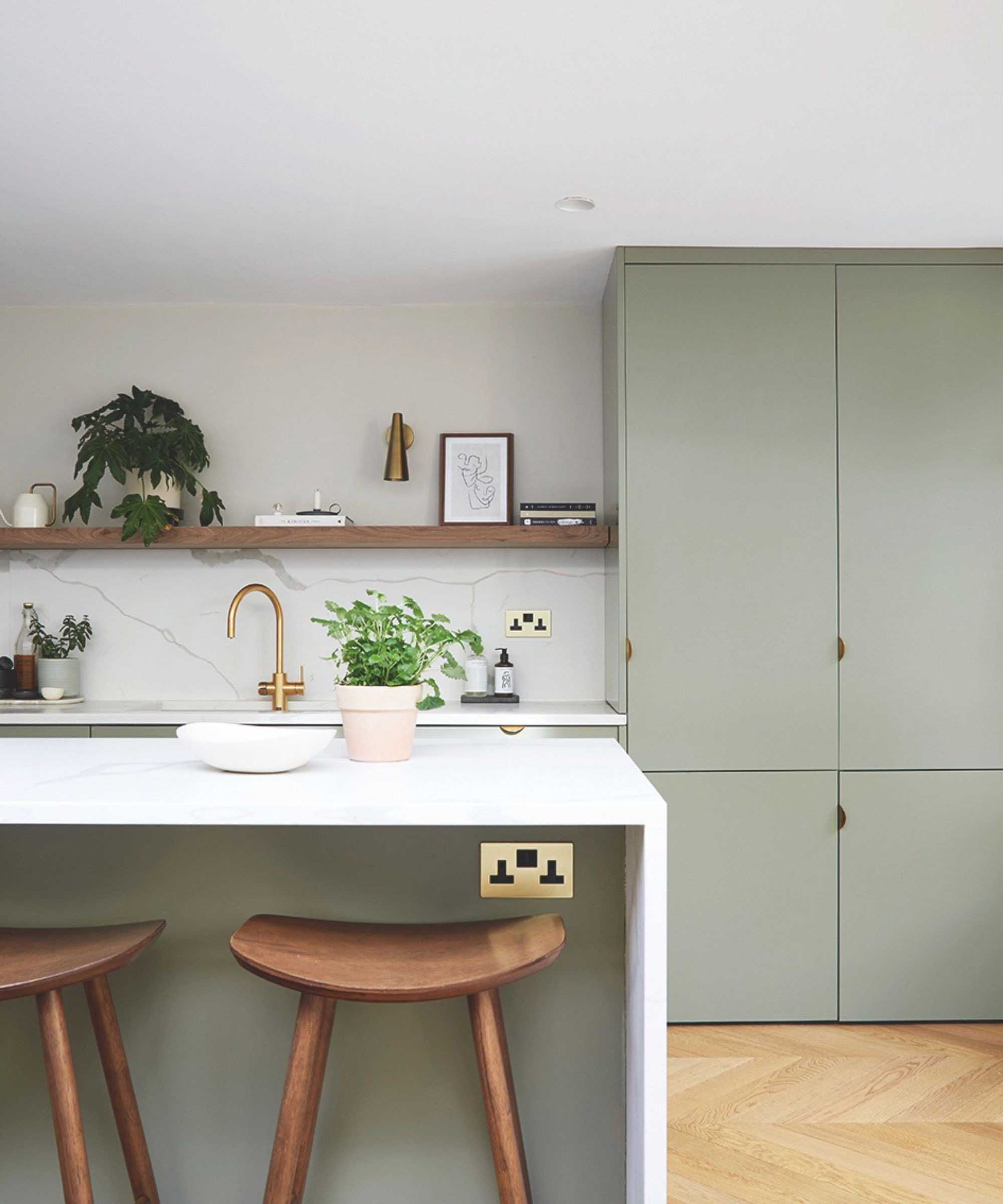 An illustrative kitchen photograph in the source includes potted greenery on a work surface and shelf; it is not identified as the author's own rental kitchen.